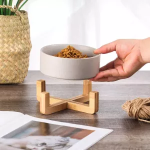 Bol en céramique pour animaux de compagnie