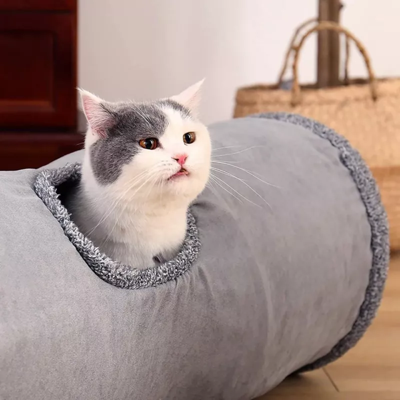 Tunnel pour chats - Jouet interactif