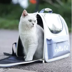 Sac de transport pour animaux de compagnie, caisse de transport