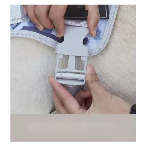Harnais pour animaux de compagnie - Harnais de sécurité