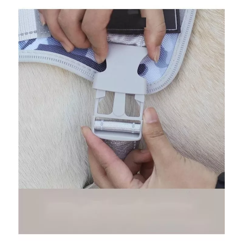 Harnais pour animaux de compagnie - Harnais de sécurité Couleur Bleu Taille M
