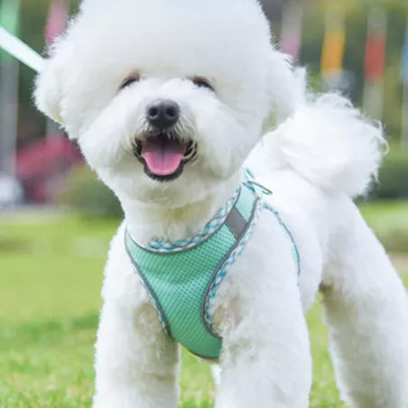 Harnais pour chien - Harnais réfléchissant Couleur Vert Taille XXS