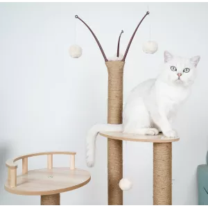 Arbre à chat en bois massif - Pour chats actifs et joueurs