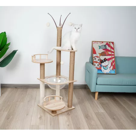 Arbre à chat en bois massif - Pour chats actifs et joueurs
