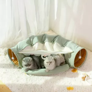 Tunnel pour chats - Aire de jeu interactive, pliable