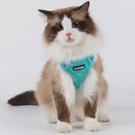 Harnais pour chats et chiens réglable et confortable Couleur Bleu Taille S