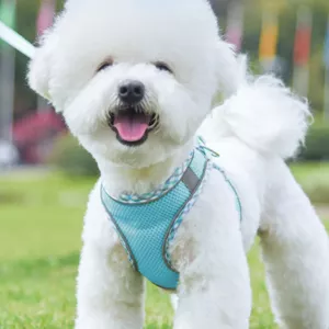 Harnais pour chien - Harnais réfléchissant