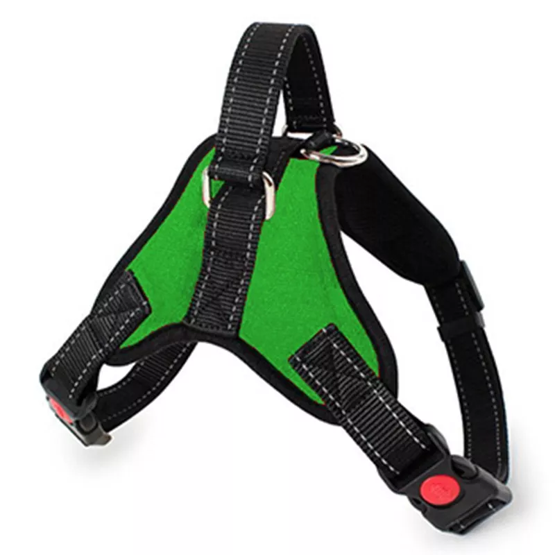Harnais réglable intelligent pour chien - Sécurité et confort Couleur Vert Taille XL