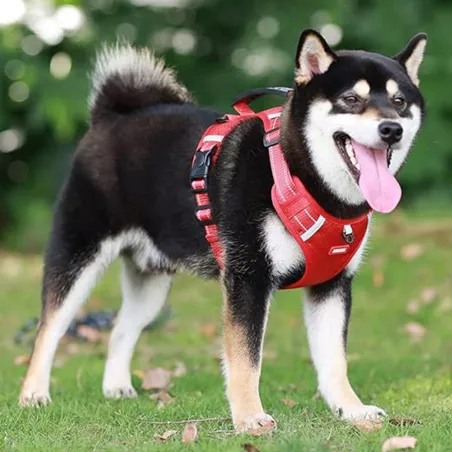 Harnais réfléchissant et facile à utiliser Couleur Rouge Taille XL