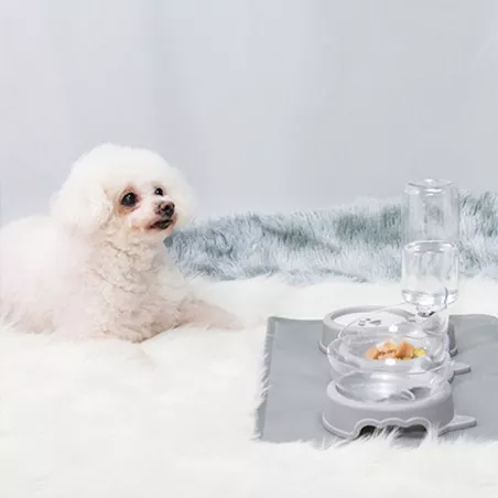 Mangeoire à nourriture et eau - Distributeur automatique Couleur Gris