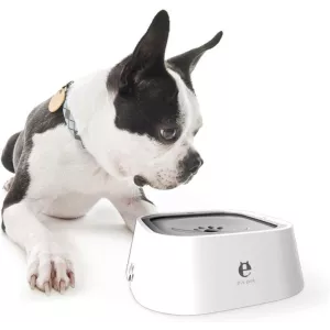 Bol anti-débordement 1L pour animaux de compagnie