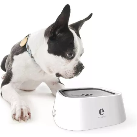 Bol anti-débordement 1L pour animaux de compagnie Couleur Blanc