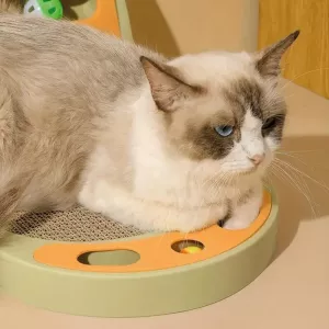 Planche à gratter pour chats