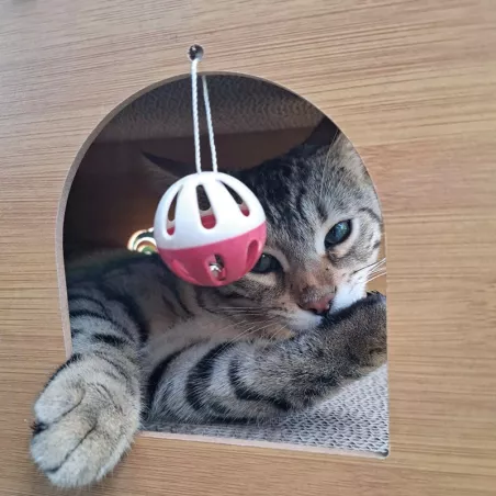 Tunnel à gratter pour Chats - Jouet Interactif
