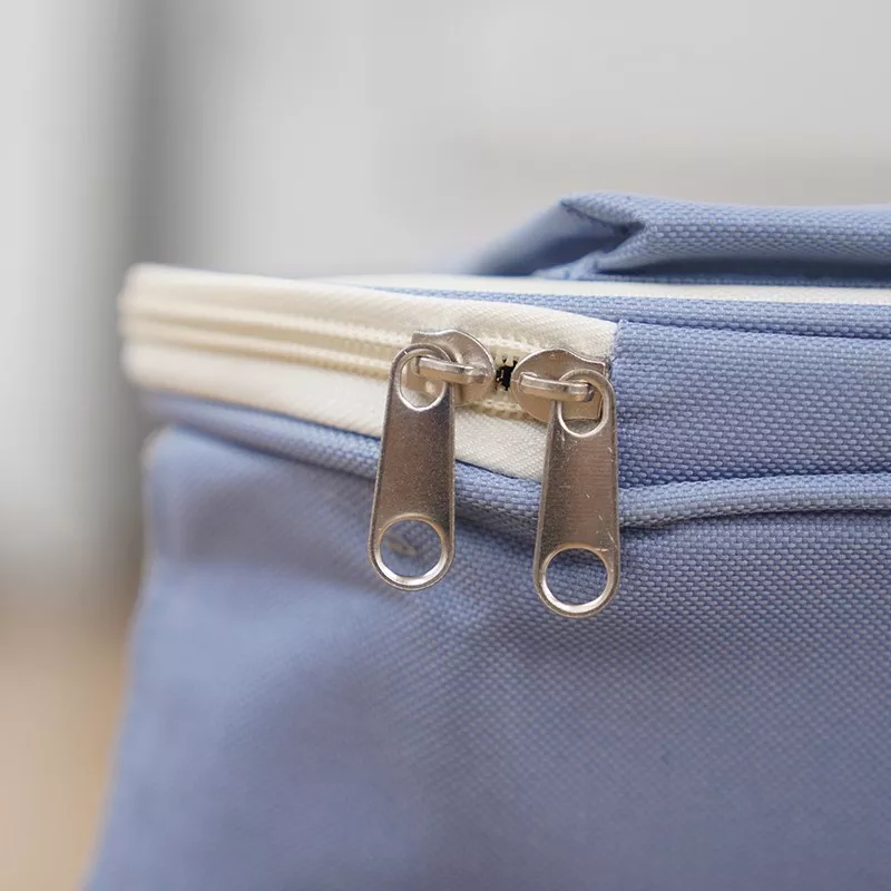 Sac de voyage pour animaux de compagnie - Caisse de transport Couleur Bleu