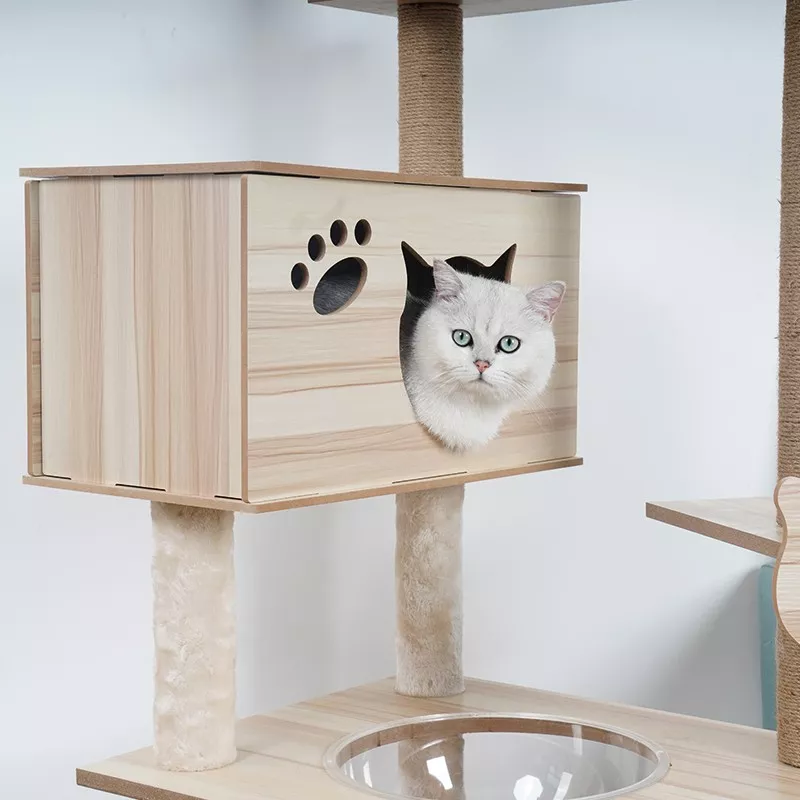 Arbre à chat en bois massif - Idéal pour chats aventuriers