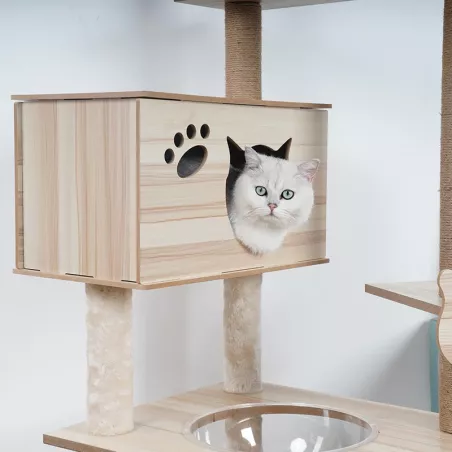 Arbre à chat en bois massif - Idéal pour chats aventuriers