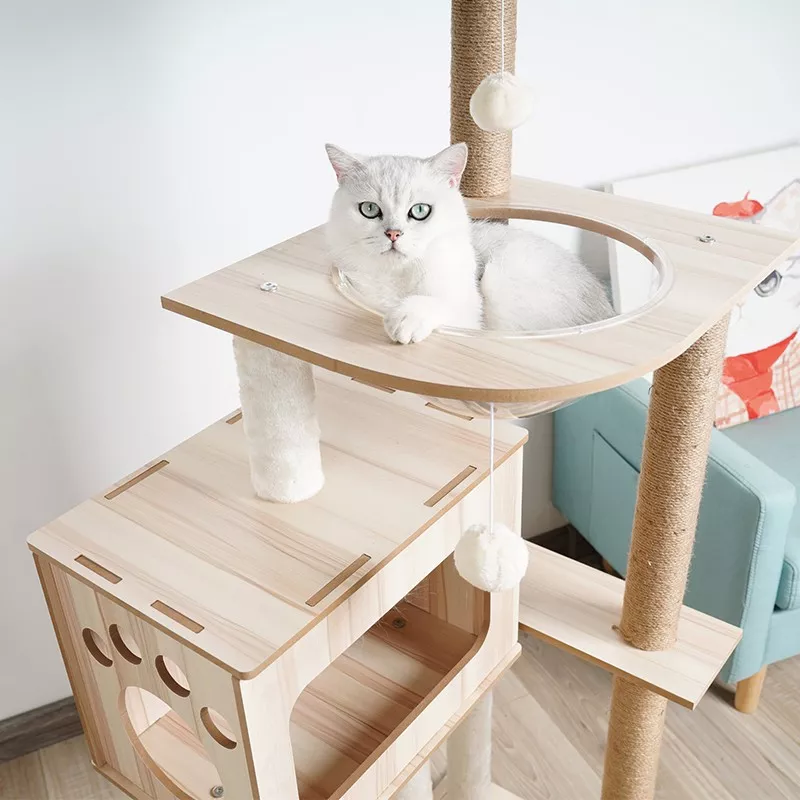 Arbre à chat en bois massif - Conception solide et élégante